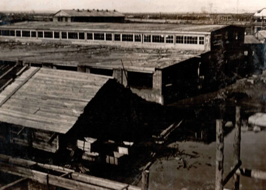 Placeholder image